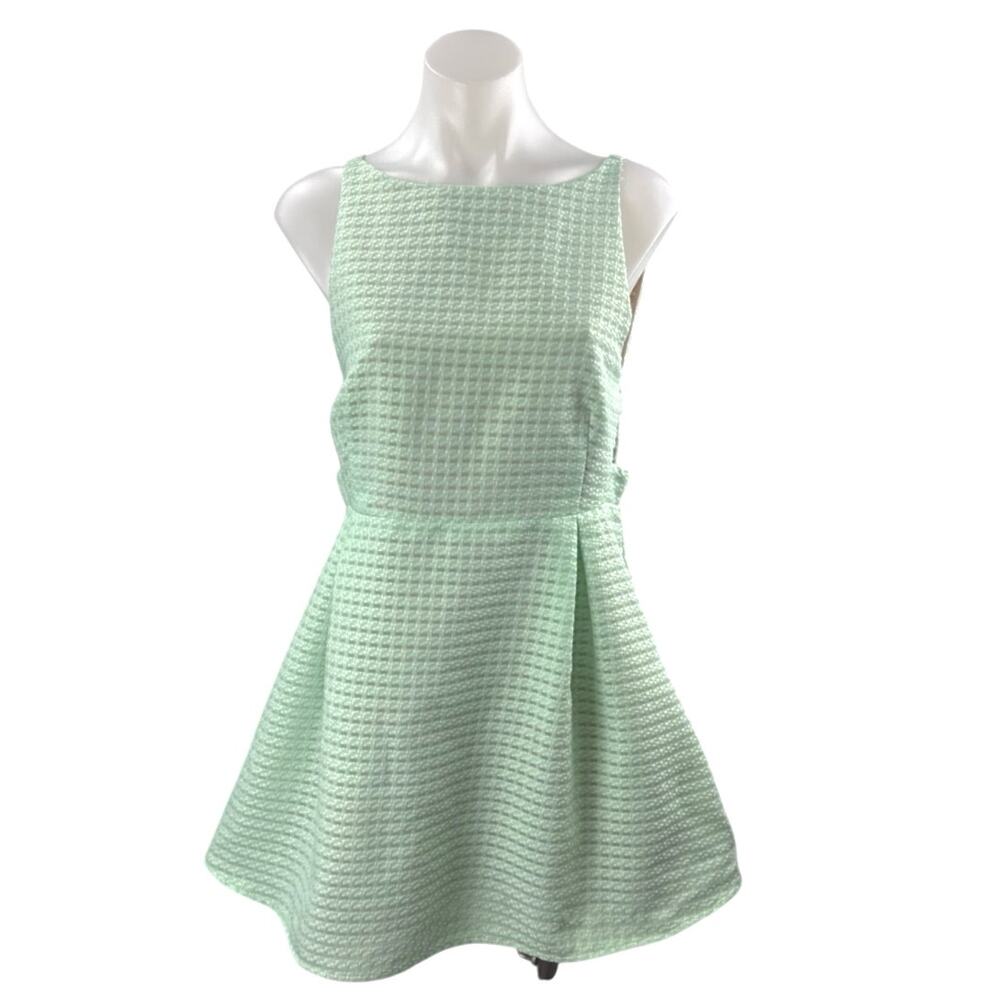 NEW Lucca Green Striped Organza Boat Neck Sleeveless Mini Flare A-Line Dress S